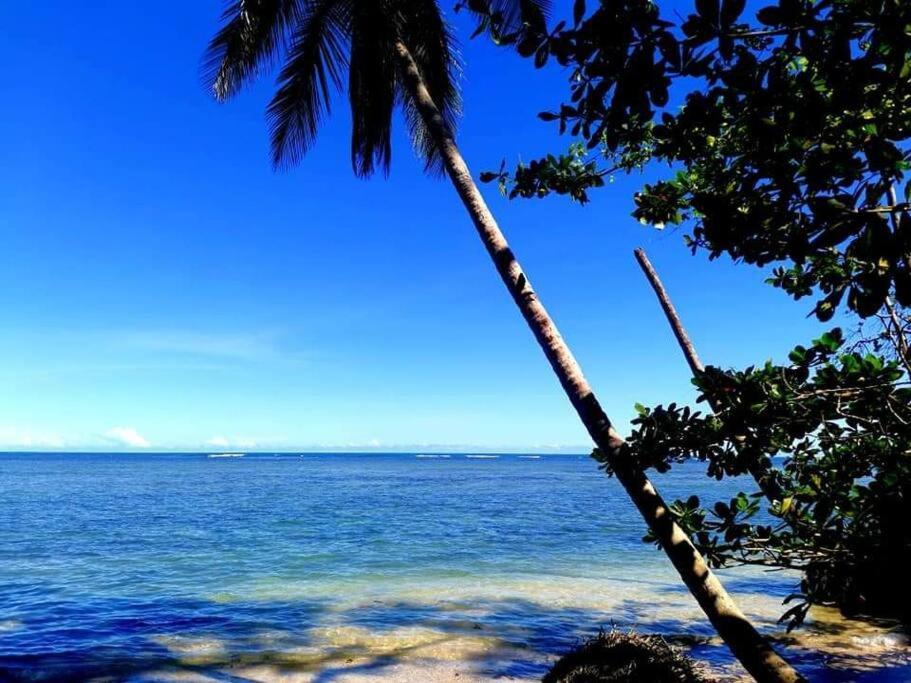 Manta Ray'S Cahuita Apart. Lägenhet Exteriör bild