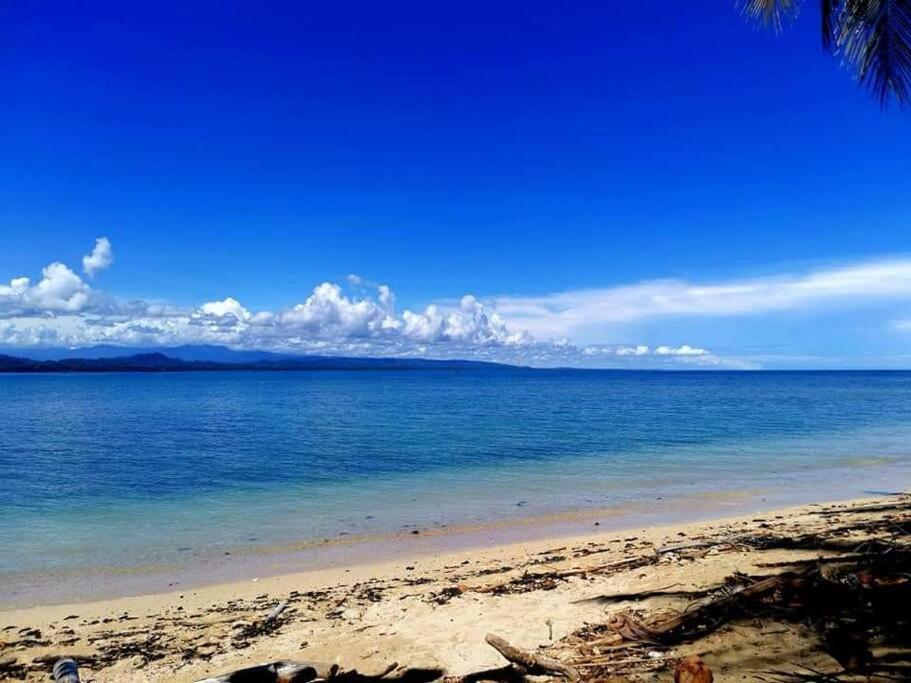 Manta Ray'S Cahuita Apart. Lägenhet Exteriör bild