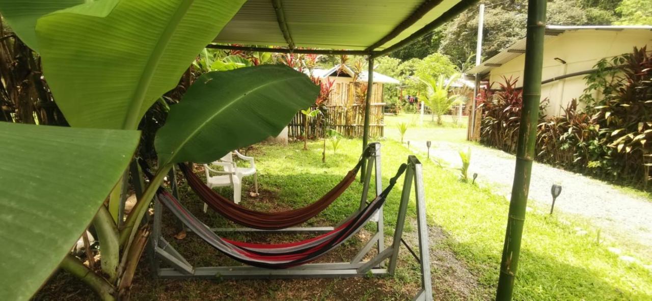 Manta Ray'S Cahuita Apart. Lägenhet Exteriör bild